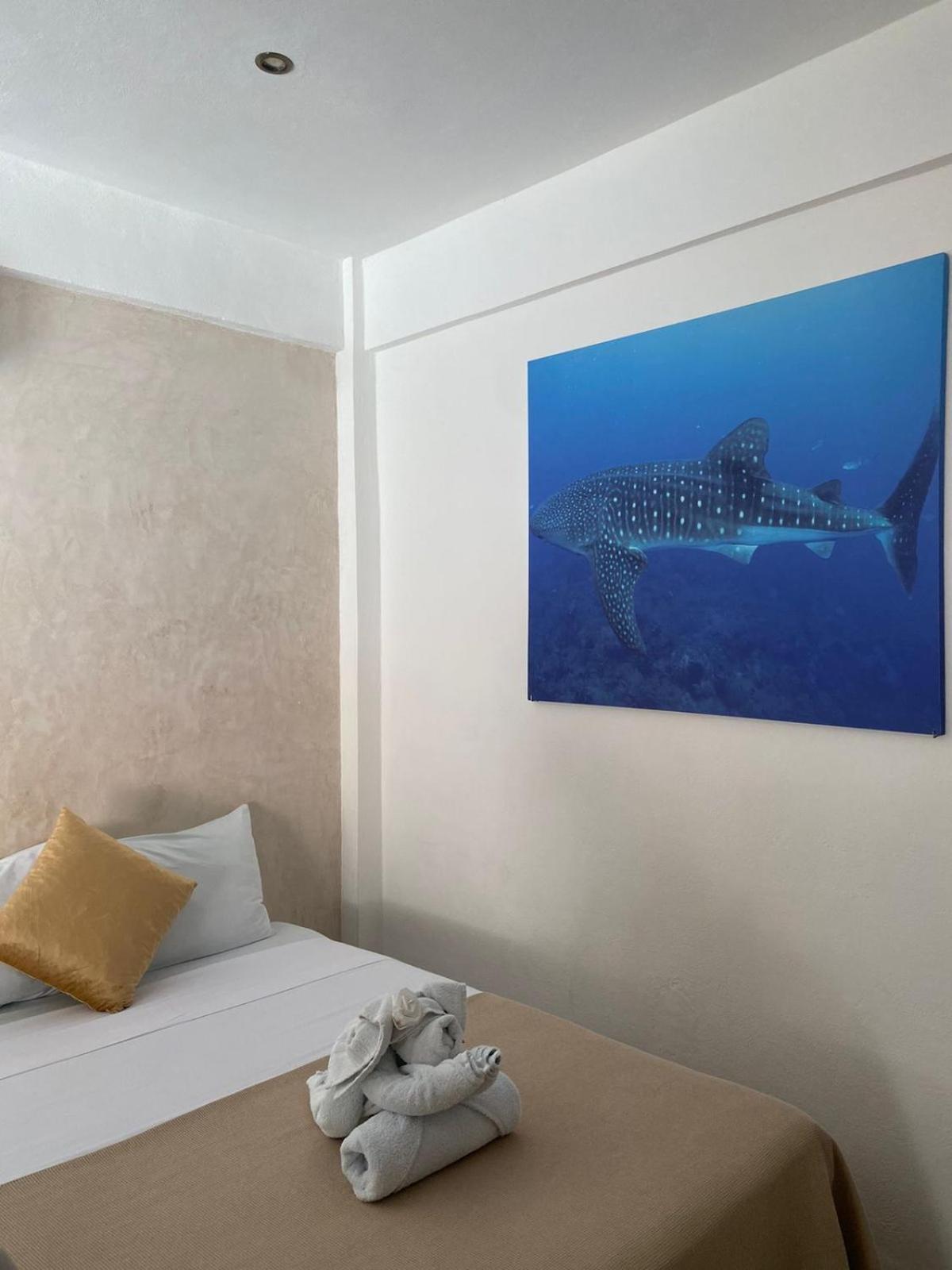 Hotel Pelecanus Suites Holbox Eksteriør billede