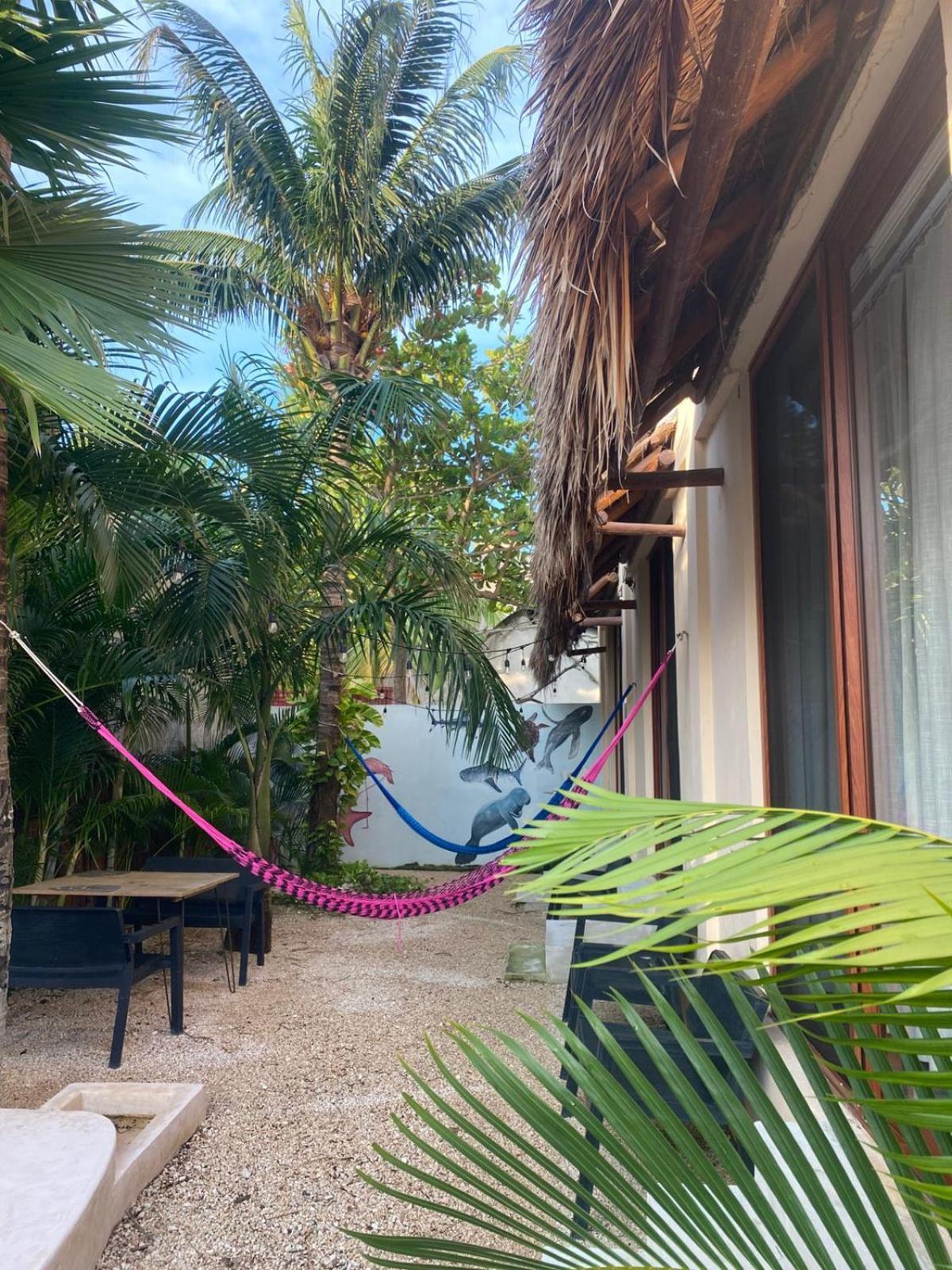 Hotel Pelecanus Suites Holbox Eksteriør billede