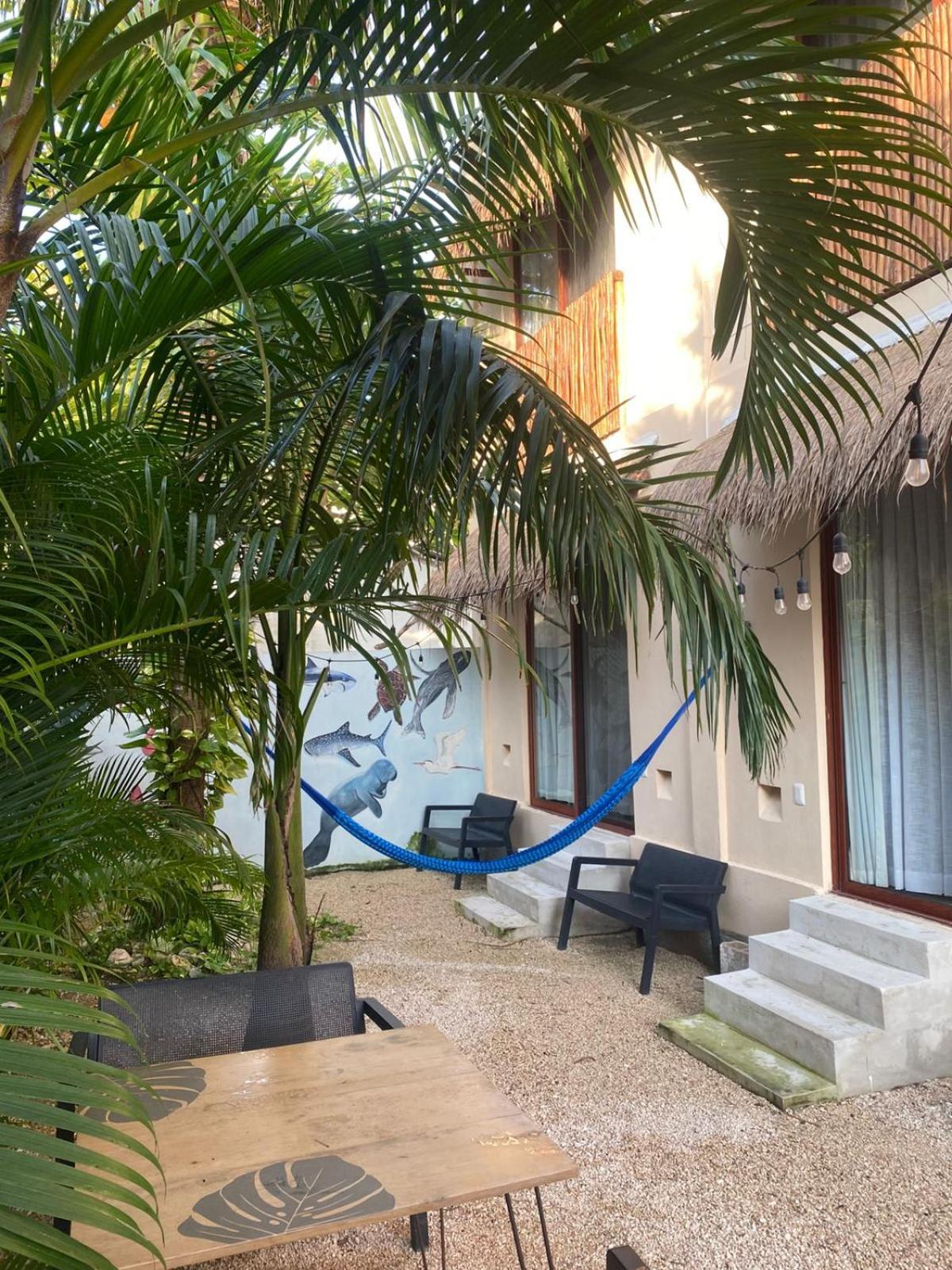 Hotel Pelecanus Suites Holbox Eksteriør billede